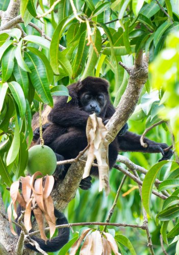 Costa Rica 2025 – Bild 133
