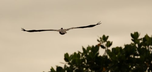 Costa Rica 2025 – Bild 13