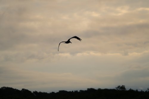 Costa Rica 2025 – Bild 15