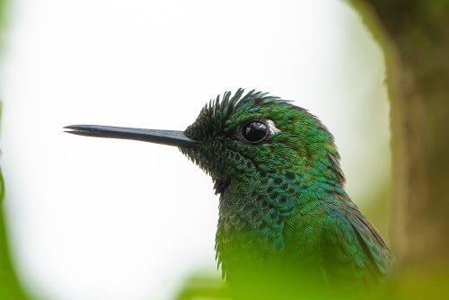 Costa Rica 2025 – Bild 188