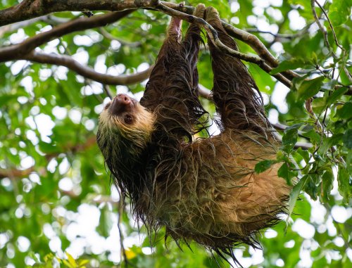 Costa Rica 2025 – Bild 203