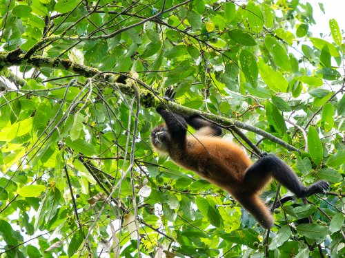 Costa Rica 2025 – Bild 245