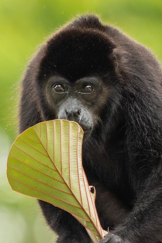 Costa Rica 2025 – Bild 281