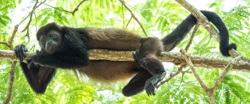 Costa Rica 2025 – Bild 57