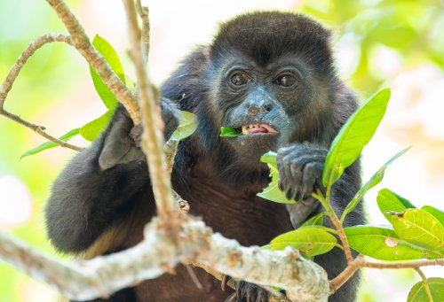 Costa Rica 2025 – Bild 68