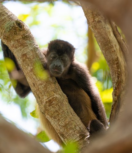 Costa Rica 2025 – Bild 72